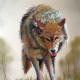 wolf
