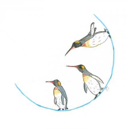 J11 penguins 