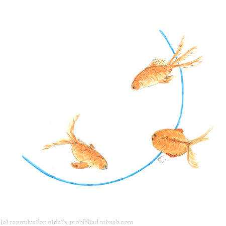 GOLDFISH J 14