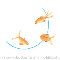 GOLDFISH J 14