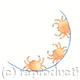 CRABS Code J9