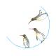 J11 penguins