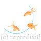 GOLDFISH J 14