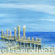 GULLS IN THE SUN