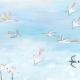 Busy Birds