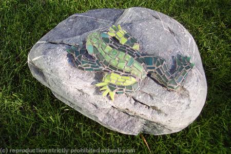 rock frog