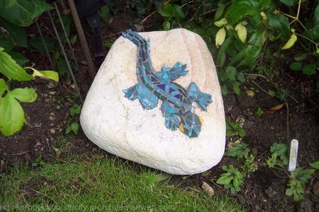 rock lizard