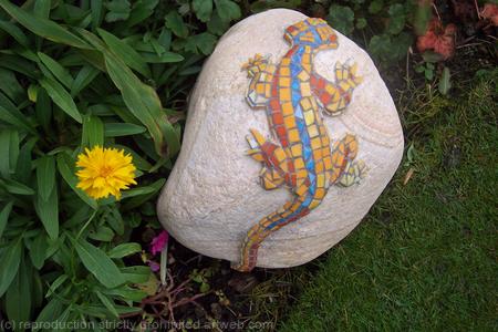 rock lizard