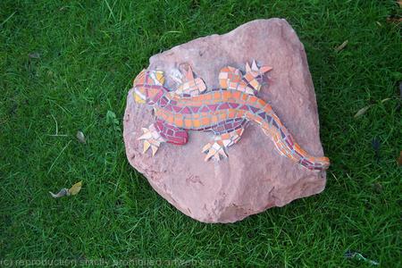rock lizard