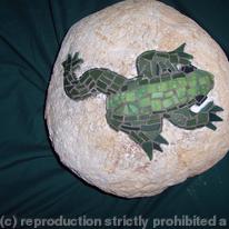 Rock Frog