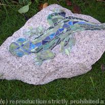 rock lizard