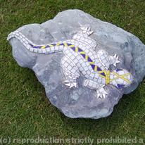 Rock Lizard