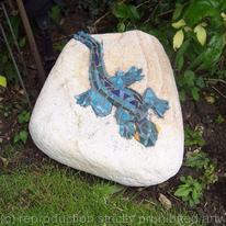 rock lizard