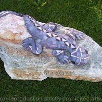rock lizard