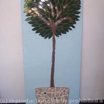 bay tree