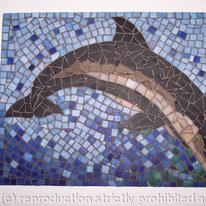 Dolphin  Joy