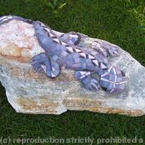 rock lizard