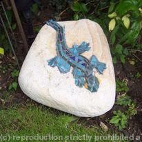 rock lizard