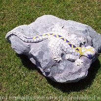 rock lizard