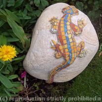 rock lizard