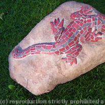 rock lizard