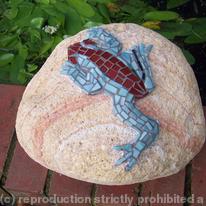 rock frog