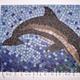 Dolphin Joy