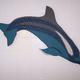 Dolphin Saltarello