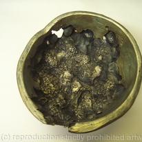 Pine cone bowl