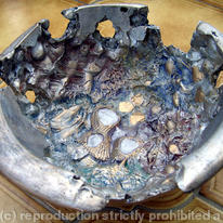 Fossil Bowl/Wedding