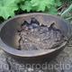Conifer Leaf Bowl | | | Plaster Conifer Leaf Bowl