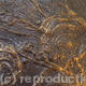 Swirl | | | Plaster and scrim on canvas Swirl