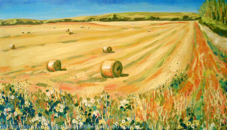 sunshine and haymaking