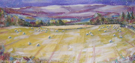 first snow in the sheepfield