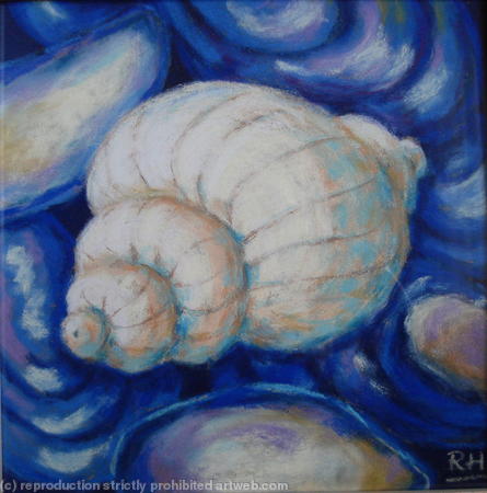 shells I