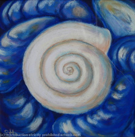 shells II