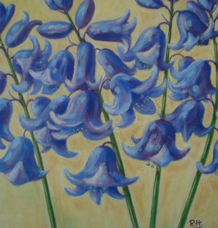 bluebells