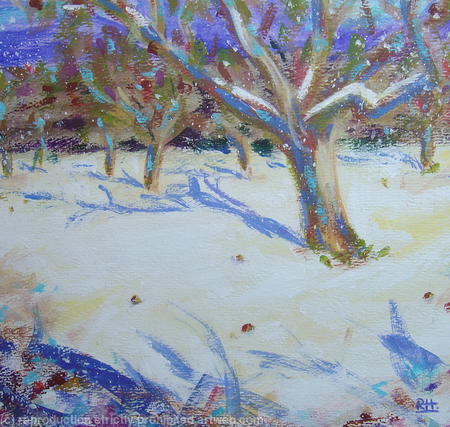 snow in the orchard