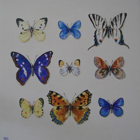 butterflies