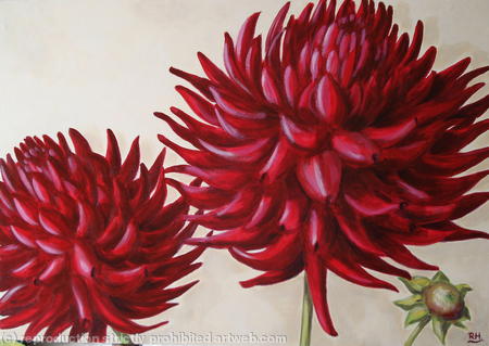 dahlias