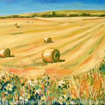 sunshine and haymaking
