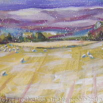 first snow in the sheepfield