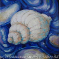 shells I