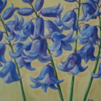 bluebells