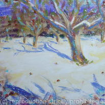 snow in the orchard