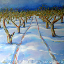 snow tracks