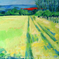 poppies on the north downs
