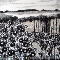 apples, dahlias and seed heads - plot 65