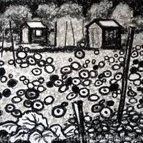 dahlias and sheds