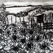 sunflowers and beans